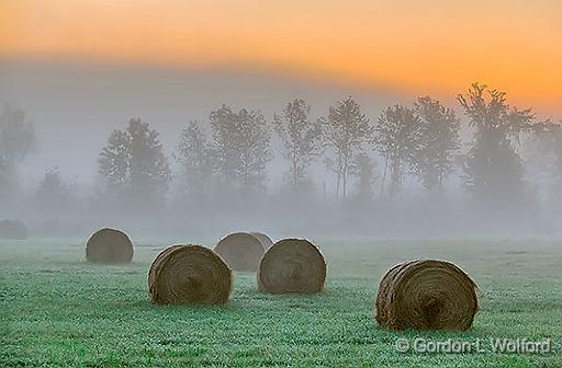 Bales in Foggy Sunrise_35635-40.jpg - Photographed near Smiths Falls, Ontario, Canada.